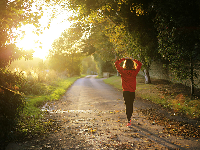 痛みのない身体へ